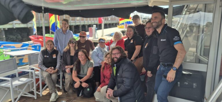 Corporate yacht charter Melbourne Port Phillip Bay private event